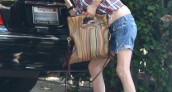 Lara Flynn Boyle Mercedes Benz