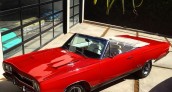 Nicky Plymouth GTX