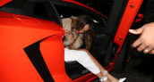 Rihanna Lamborghini