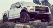 Ryan Sheckler Raptor
