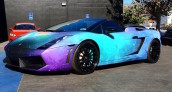 Taylor Caniff Lamborghini