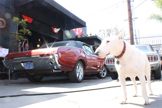 Kevin Dillon Net Worth 2025 - How Rich is Kevin Dillon?