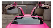 Nicki Minaj | Mercedes SLS AMG